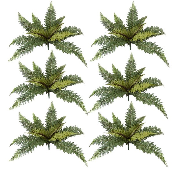 Samambaias Toque Natural Kit Com Vinte E Quatro Buquês | Flor